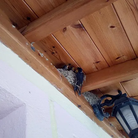 Hellen Apartamento *